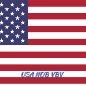 USA Fullz Non VBV CC – High Balance